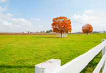A Guide to Title Documents: What You Need When Buying or Selling a Property buying selling property